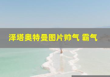 泽塔奥特曼图片帅气 霸气